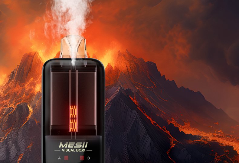 Dual-Mesh-Technologie der MESII Visual Boxx 16K