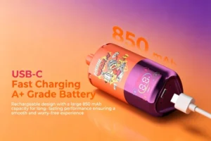 Vape richtig aufladen mit USB-C – Anleitung und Tipps