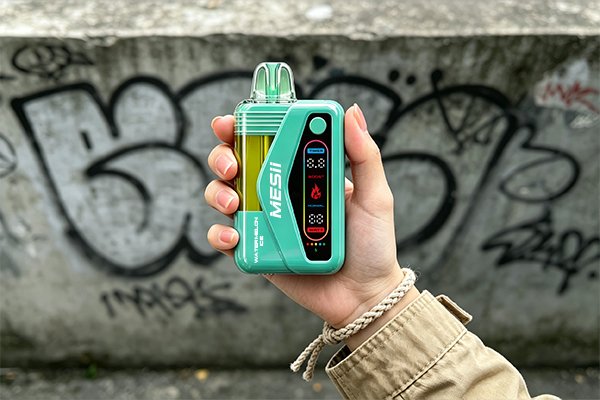 Einweg-Vape und aufladbare Vape im Vergleich